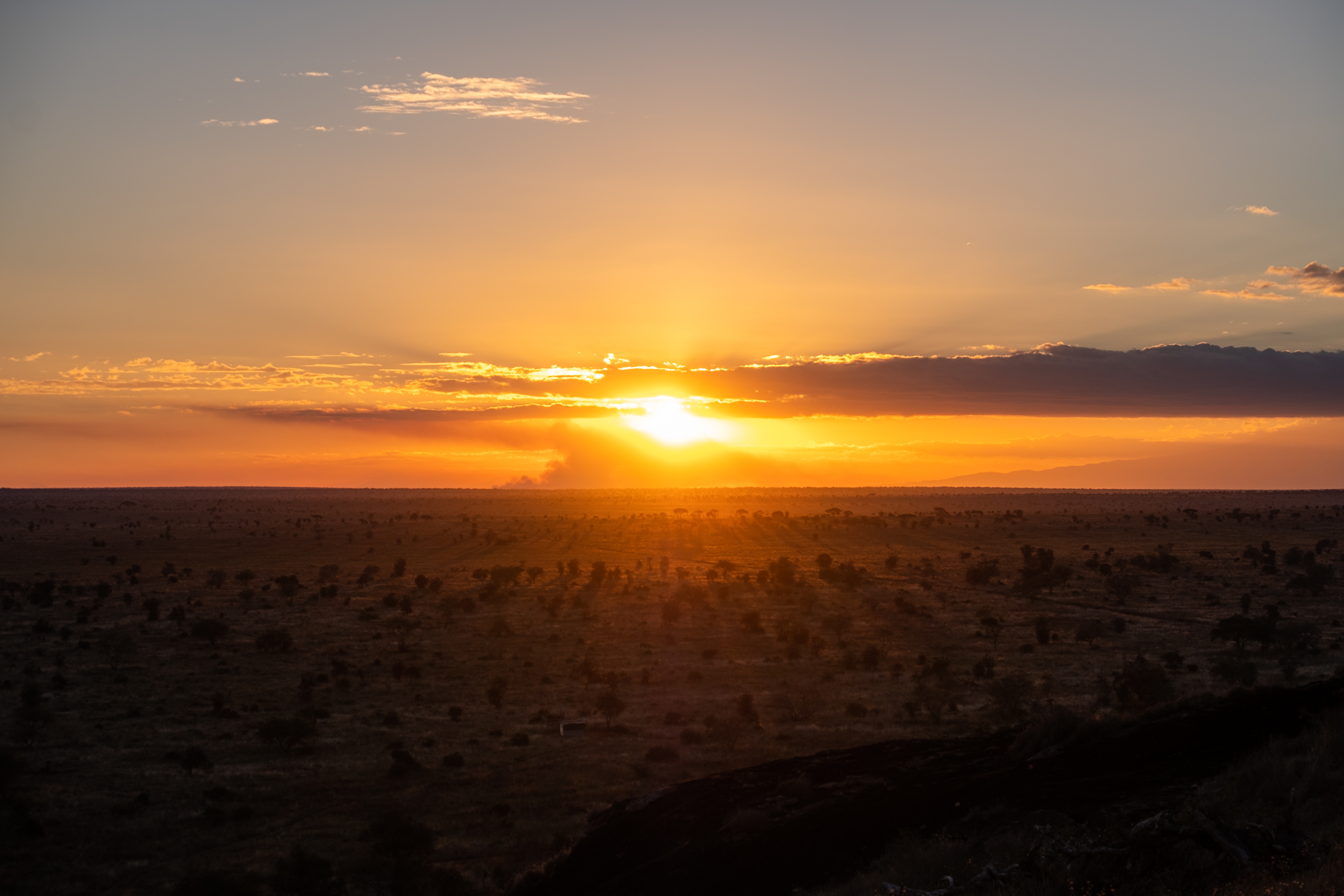 Office desk with a laptop, desktop computer displaying charts, takeaway coffee cups, notebooks, pens, keyboard, and mouse.